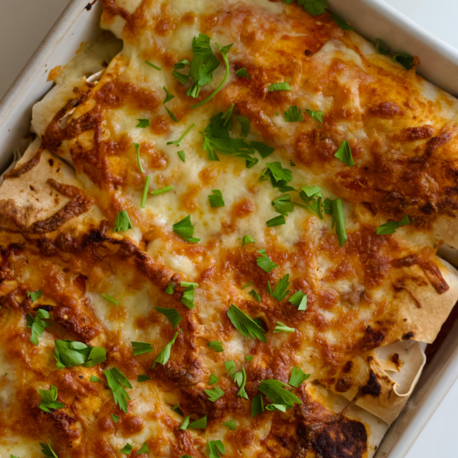 Delicious Spicy Chicken Enchiladas